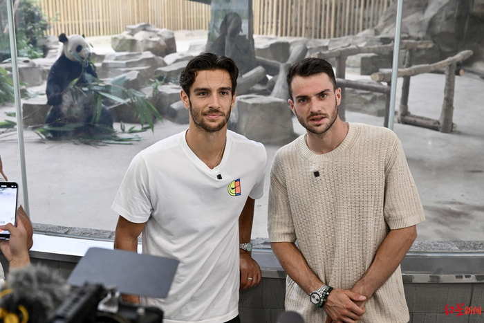 具备稳定的 具备稳定的