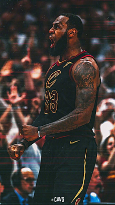 MVP